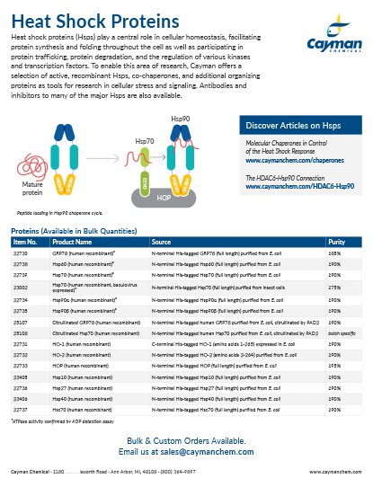 <p>​Heat Shock Proteins<br></p>